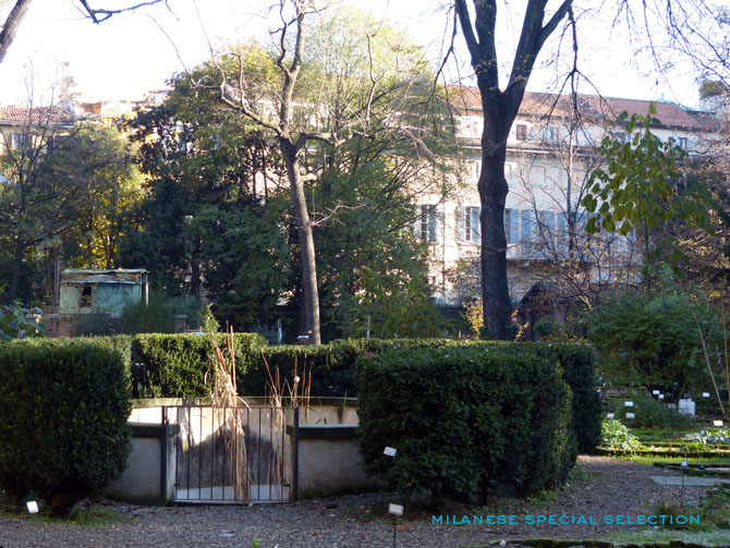 jardin botanique brera milan 7 Jardin botanique de Brera, Milan